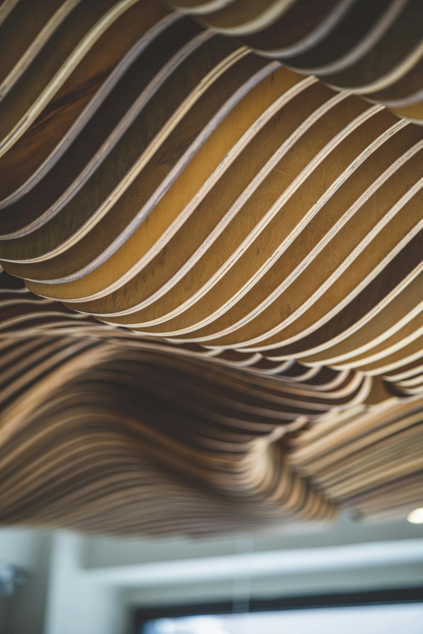 Abstract view of a wavy patterned wooden ceiling showcasing modern architectural design.
